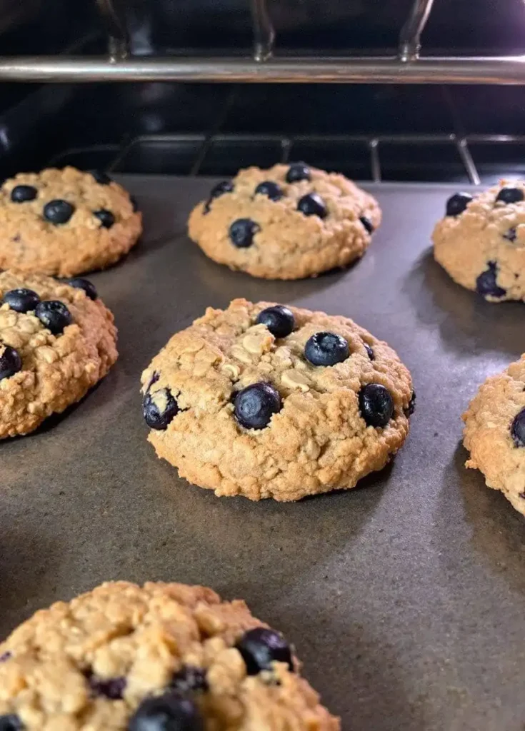 Baking Banana Blueberry Oatmeal Breakfast Cookies